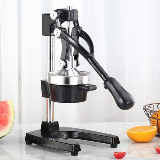 Press Cold Stainless Steel Juicer