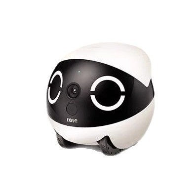 Smart Companion Robot
