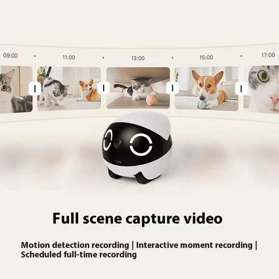 Smart Companion Robot