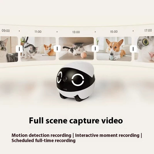 Smart Companion Robot