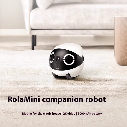 Smart Companion Robot