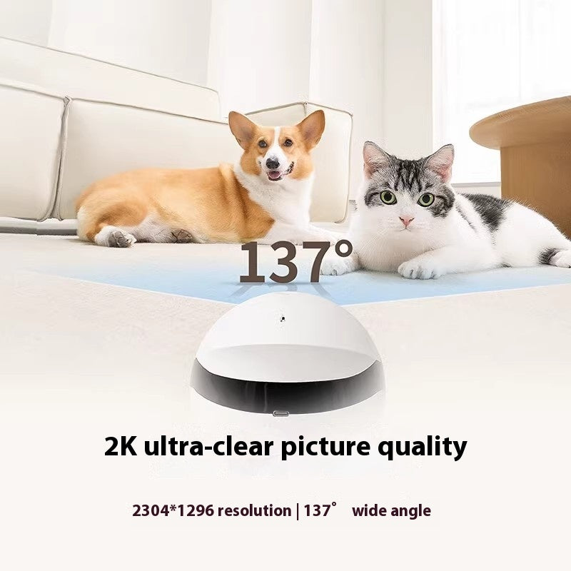 Smart Companion Robot